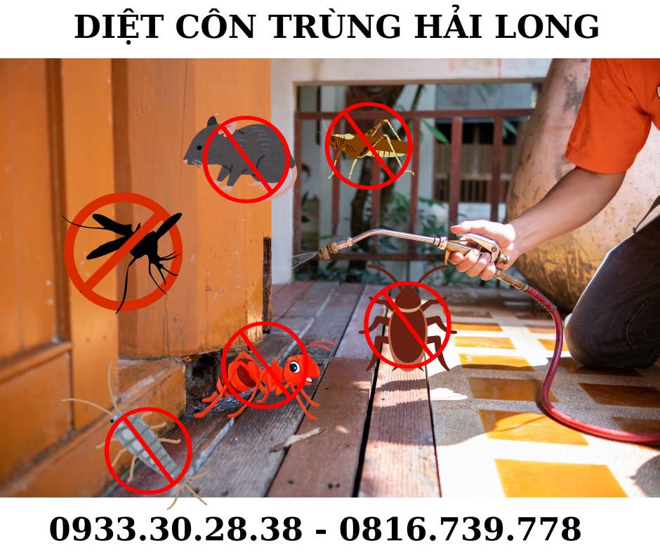 Diệt côn trùng Hải Long