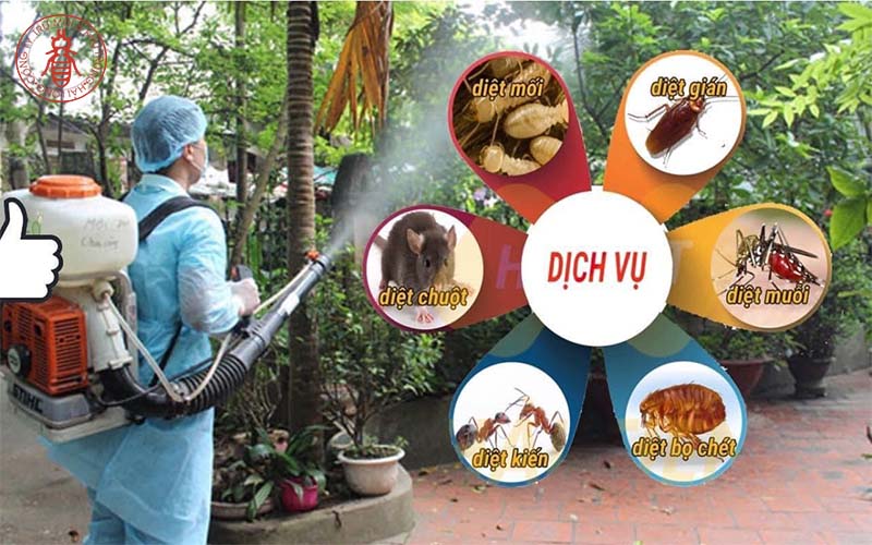 Dịch vụ diệt muỗi uy tín giá rẻ tại nhà